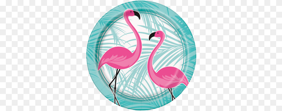 Flamingo Fun Party Plates Flamingo Party Plate, Animal, Bird Free Transparent Png