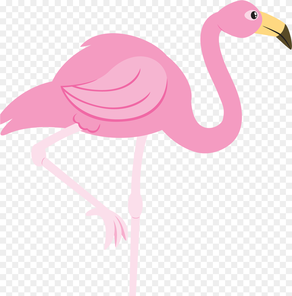 Flamingo Hd Transparent Background Flamingo, Animal, Bird Free Png
