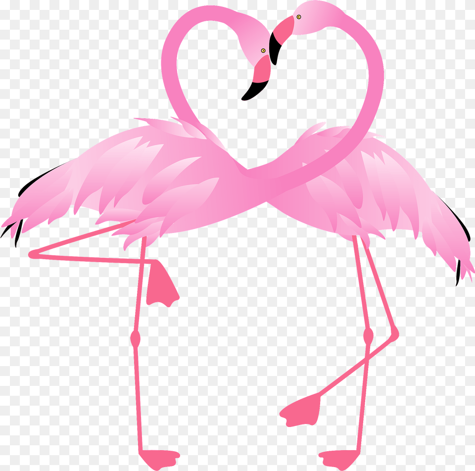 Flamingo Head And Necks Forming A Heart Clipart, Animal, Bird, Adult, Female Free Png