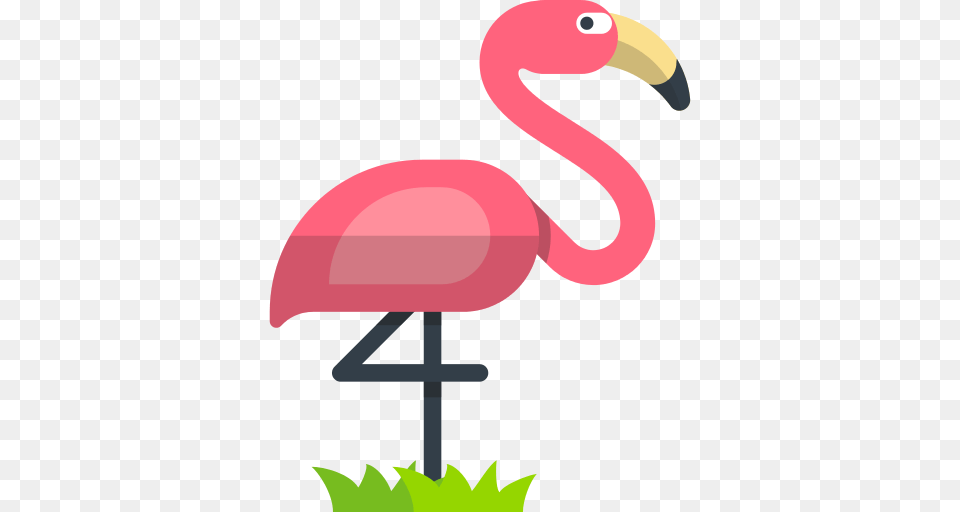 Flamingo Icon, Animal, Beak, Bird, Cross Png