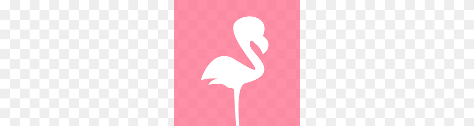 Flamingo Inc Crunchbase Free Transparent Png