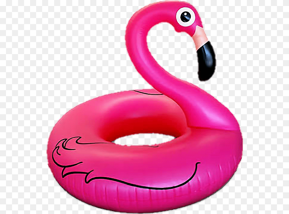 Flamingo Inflatable Pool Summer Flamingo Pool Party, Animal, Bird Free Png Download