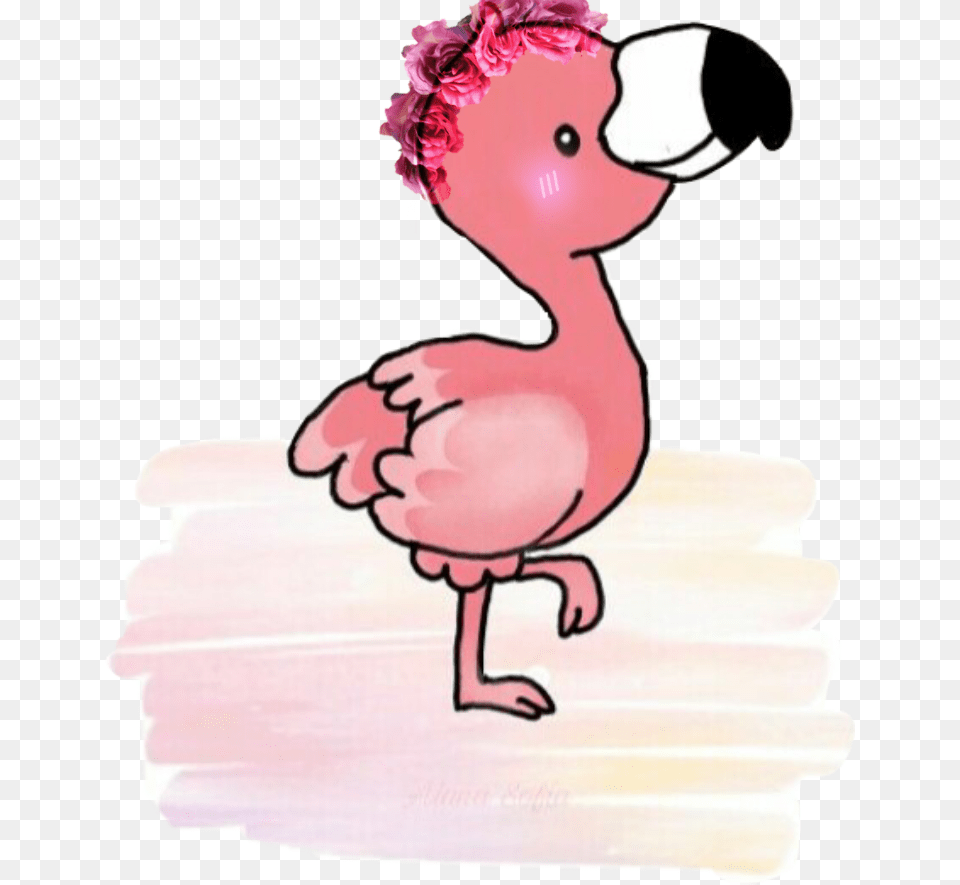 Flamingo Kawaii, Animal, Beak, Bird, Baby Png Image