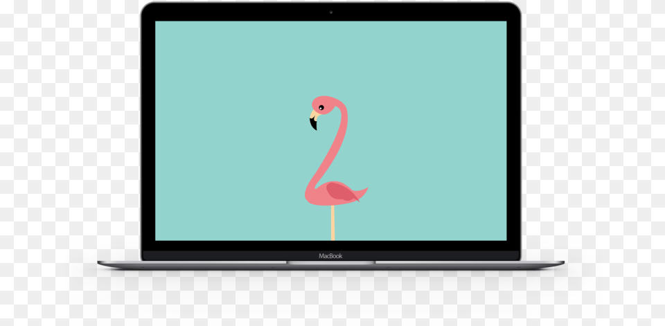 Flamingo Laptop Led Backlit Lcd Display, Animal, Electronics, Bird, Screen Free Transparent Png