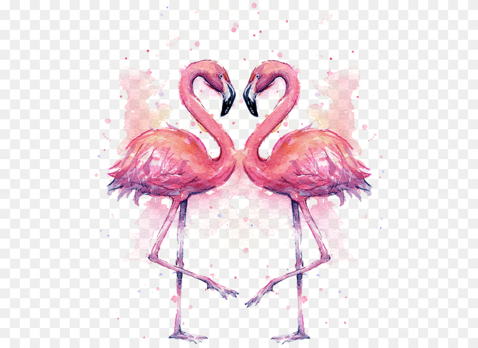 Flamingo Love Watercolor, Animal, Bird Free Png