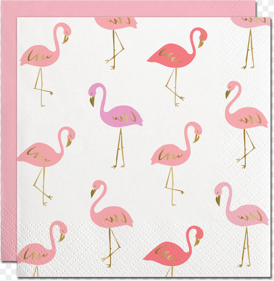 Flamingo Napkins, Animal, Bird Free Png