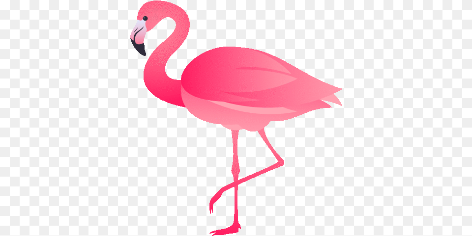 Flamingo Nature Gif Flamingo Nature Joypixels Discover U0026 Share Gifs Flamingo Emojisi, Animal, Bird Free Transparent Png