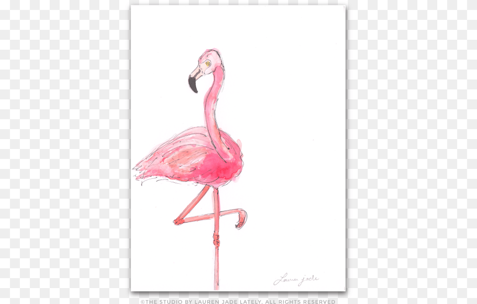 Flamingo No Six Watercolor Painting, Animal, Bird, Beak Png