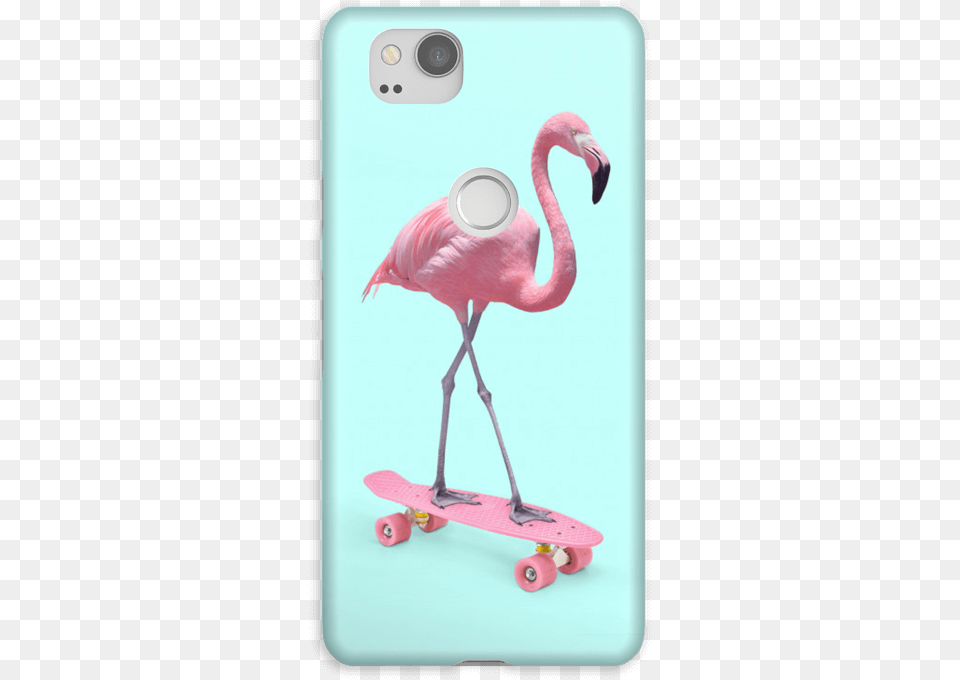 Flamingo On Skateboard Case Pixel Flamingo Skate, Animal, Bird Free Png