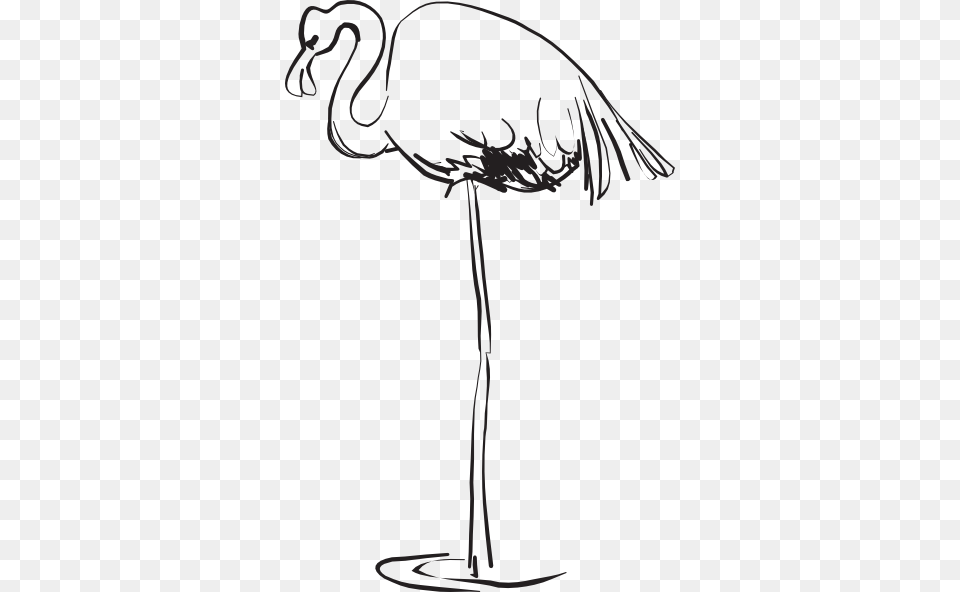 Flamingo Outline Art Clip Art, Animal, Bird, Crane Bird, Waterfowl Png Image