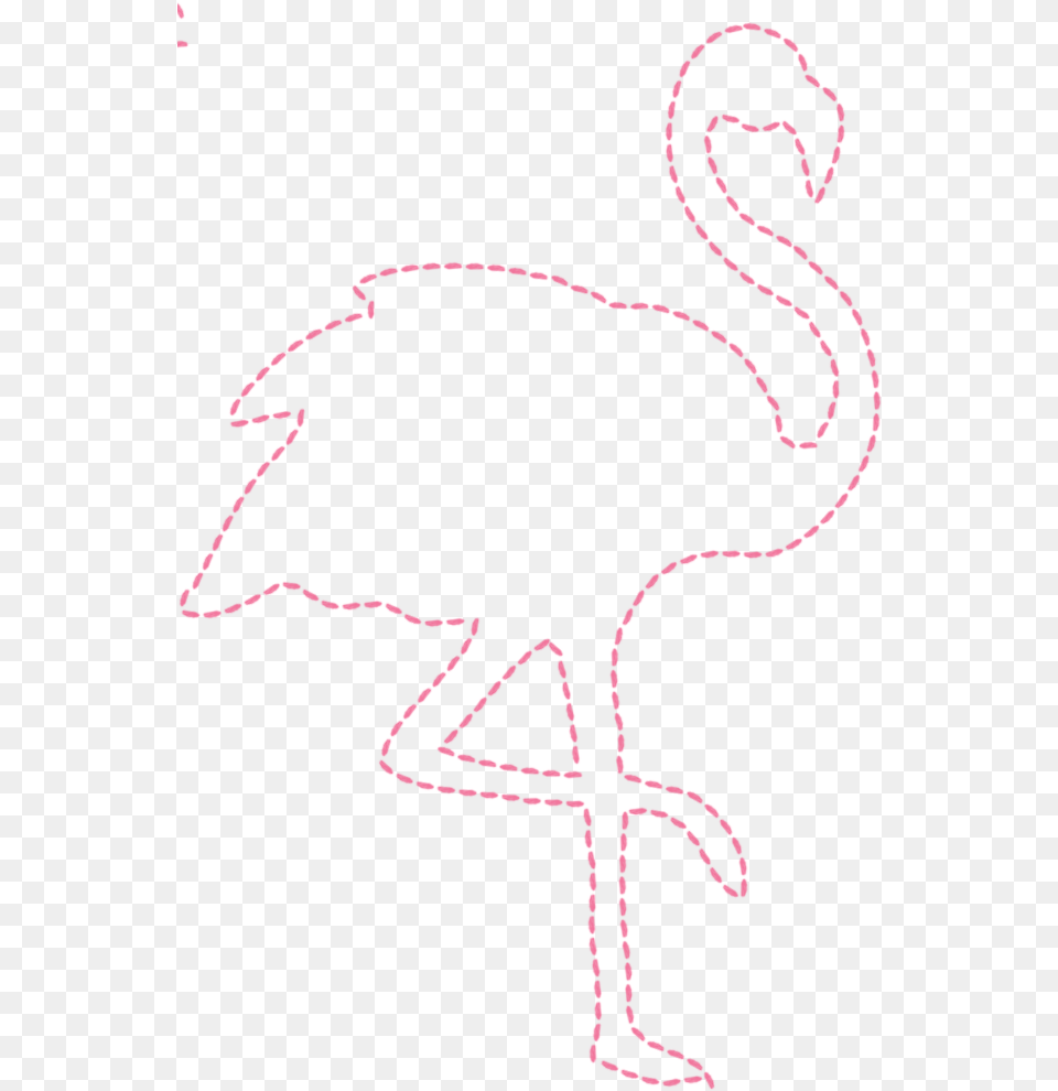 Flamingo Outline Greater Flamingo, Person, Animal, Bird Free Transparent Png