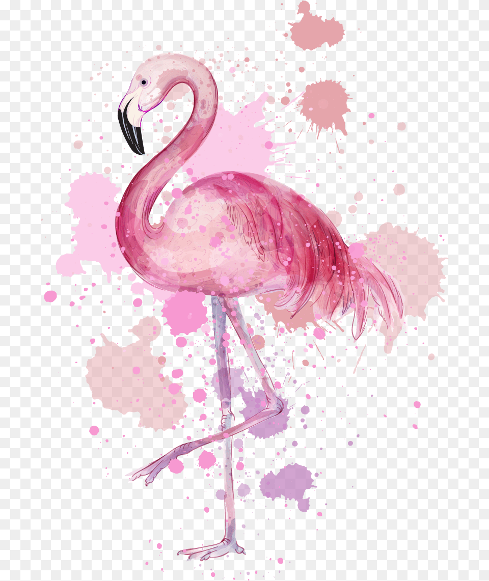 Flamingo Painting Wall Art Sticker Flamingo Paint Pink, Animal, Bird Png Image