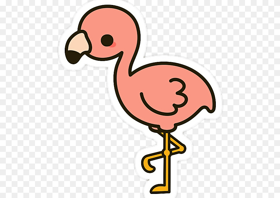 Flamingo Pink Aesthetic, Animal, Bird Png