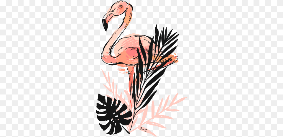 Flamingo Pinkflamingo Leaves Flamingoandleaves Greater Flamingo, Animal, Bird, Plant Free Transparent Png