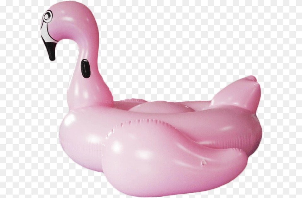Flamingo Pool Light Pink Flamingo Giant Inflatable Water Air Mattress, Animal, Bird Free Png Download