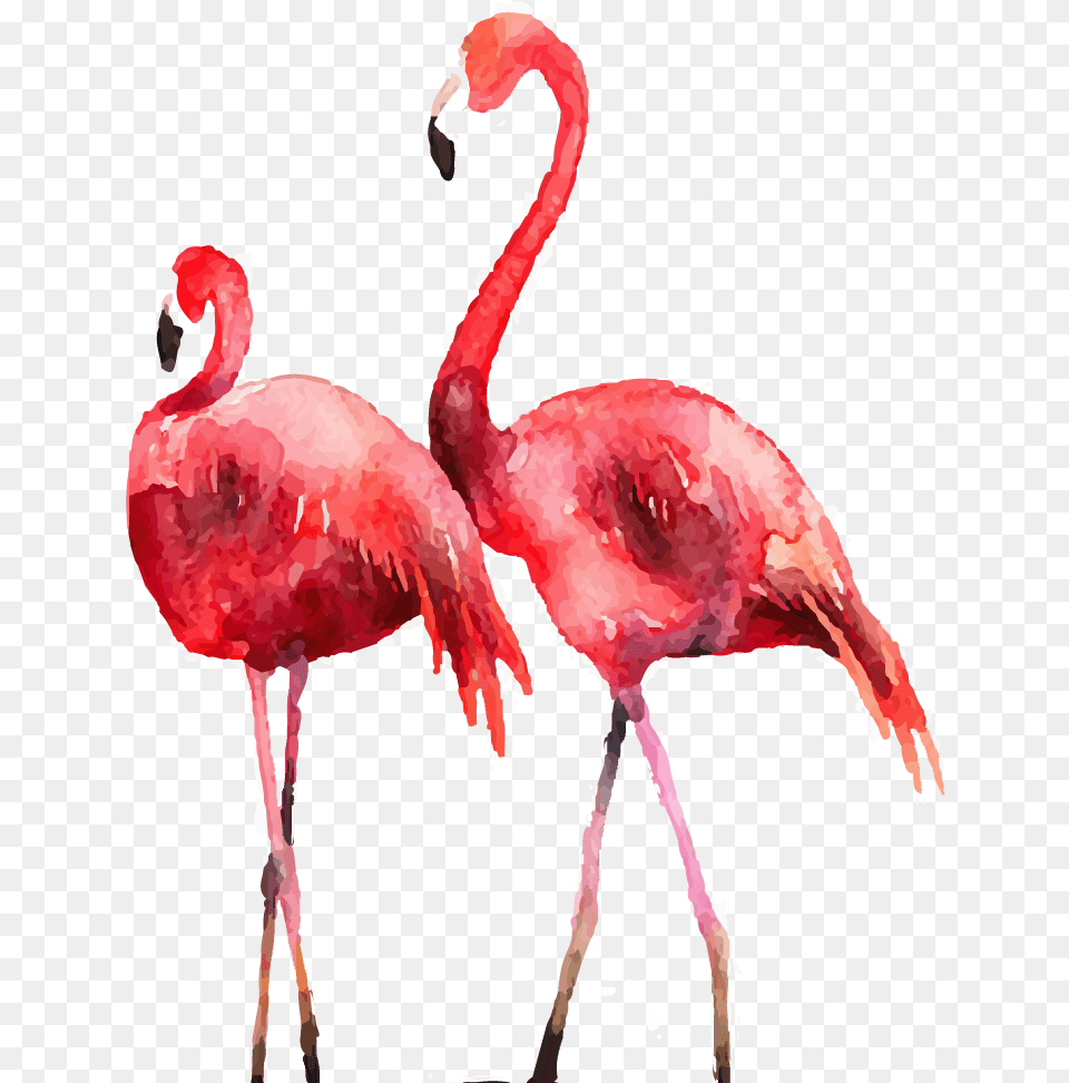 Flamingo Poster Printmaking Illustration Flamingo Painting, Animal, Bird, Person Free Transparent Png