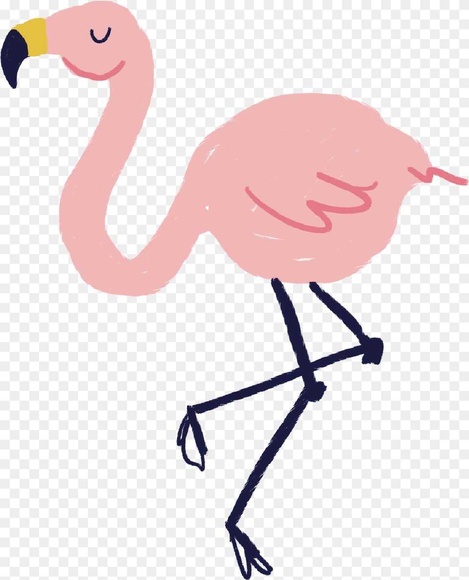 Flamingo Print U0026 Cut File Animal Figure, Bird, Baby, Person, Beak Png Image