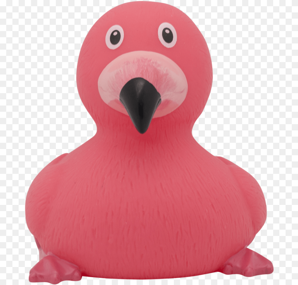 Flamingo Rubber Duck By Lilalu Flamingo Ente, Animal, Beak, Bird, Toy Free Transparent Png