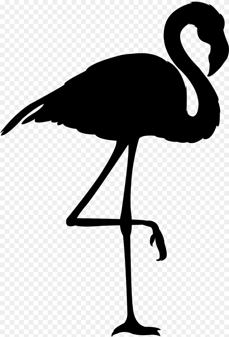 Flamingo Silhouette, Animal, Bird, Kangaroo, Mammal Free Transparent Png