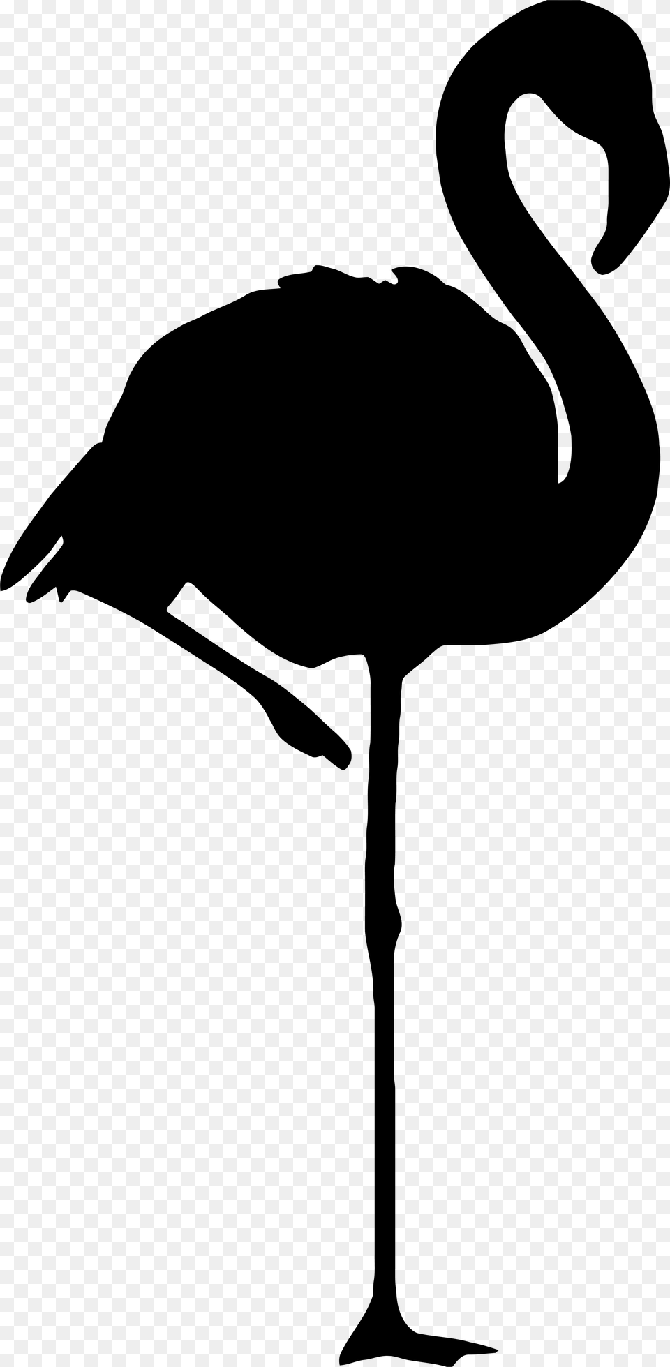 Flamingo Silhouette, Animal, Bird, Adult, Female Free Png Download