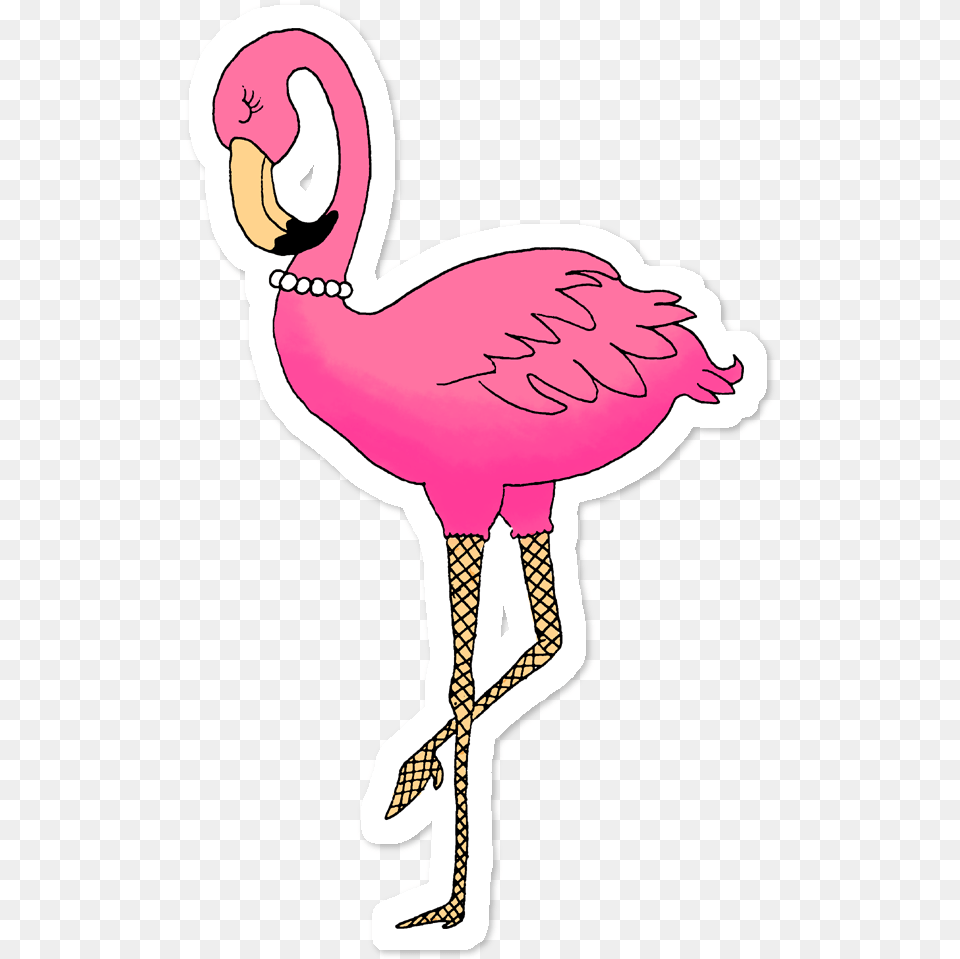 Flamingo Sticker, Animal, Bird, Person Png Image