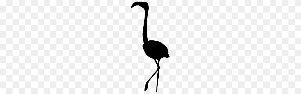 Flamingo Stickers Decals Weatherproof Long Lasting, Animal, Bird, Crane Bird, Waterfowl Png