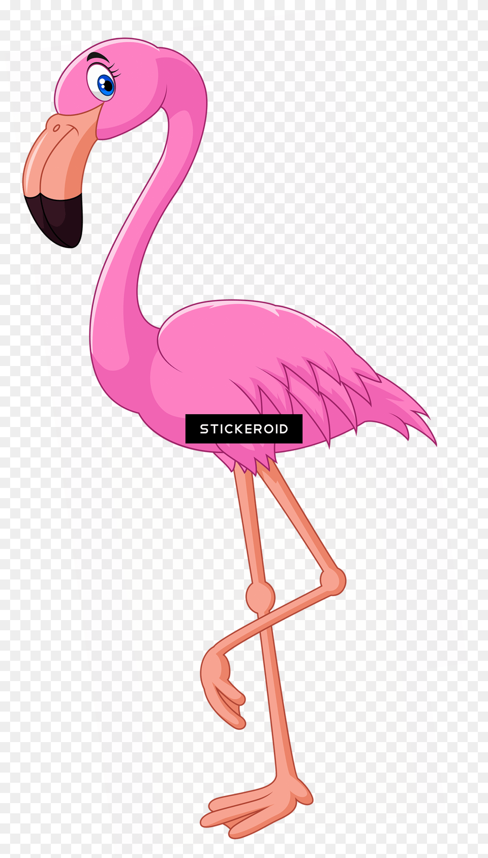 Flamingo Transparent Cartoon Transparent Background Flamingo Clipart, Animal, Bird Free Png Download