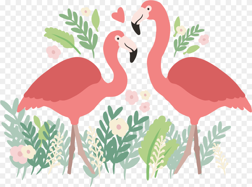 Flamingo Transparent Love Transparent Cartoon Background Flamingo Hd, Animal, Bird, Plant Free Png Download