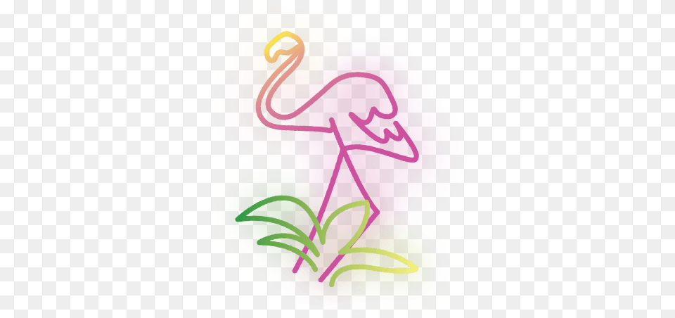 Flamingo Neon Flamingo No Background, Purple, Art, Graphics, Dye Free Transparent Png