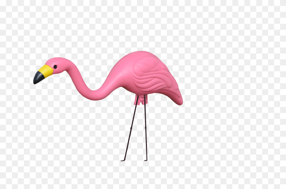 Flamingo Transparent Plastic Transparent Lawn Flamingo, Animal, Bird Png Image
