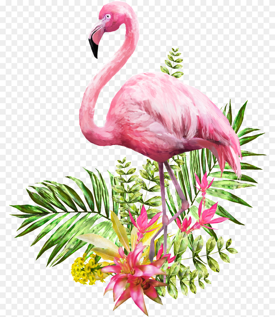 Flamingo Transparent Standing In Flowers And Grass Flamingo, Animal, Bird Free Png
