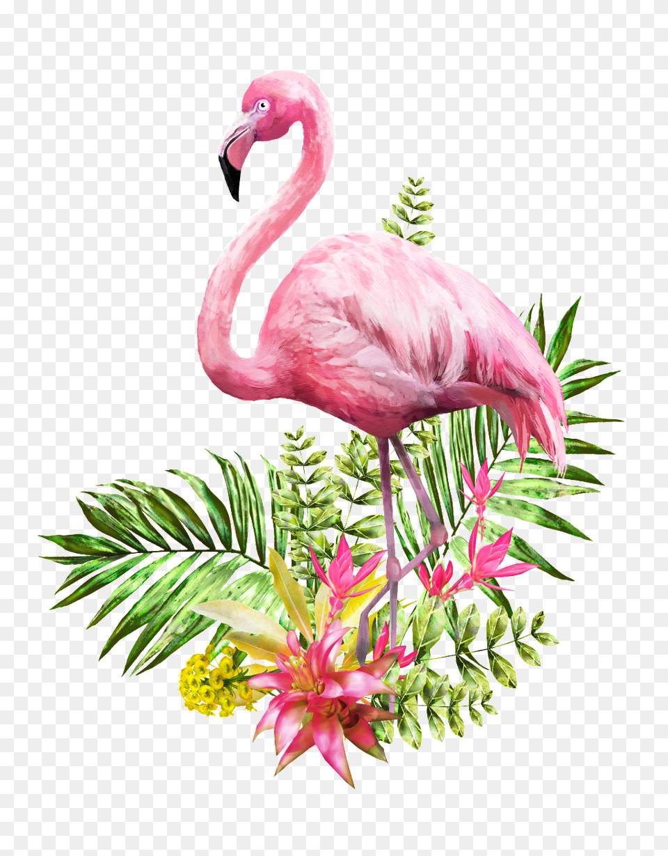 Flamingo Transparent Standing In Flowers And Grass Free, Animal, Bird Png