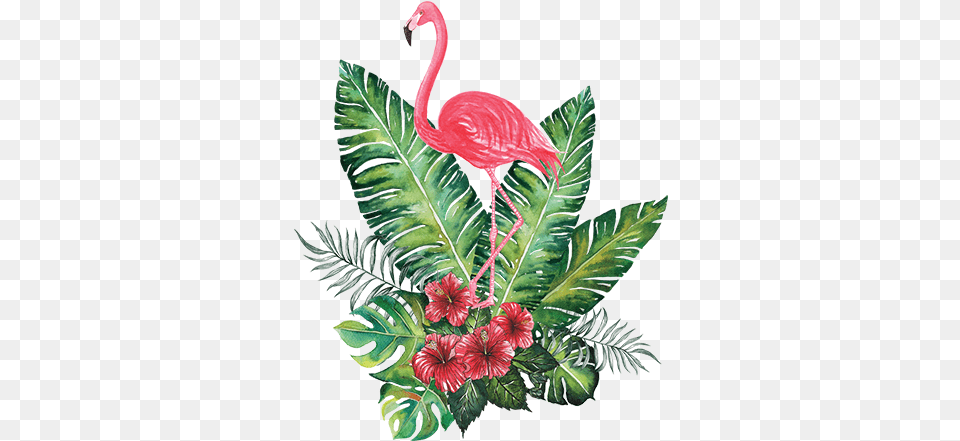 Flamingo Tropical Image With No Tropical Flamingo, Plant, Animal, Bird, Leaf Png