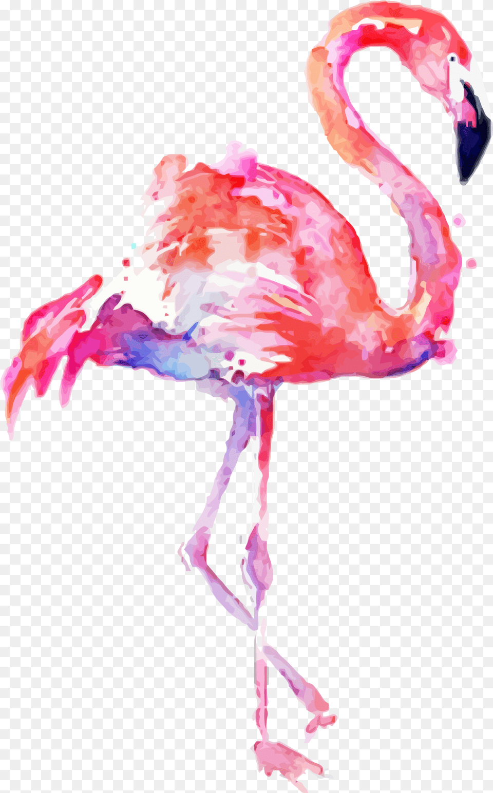 Flamingo Water Color Clip Art Background Flamingo, Animal, Bird, Person Free Transparent Png