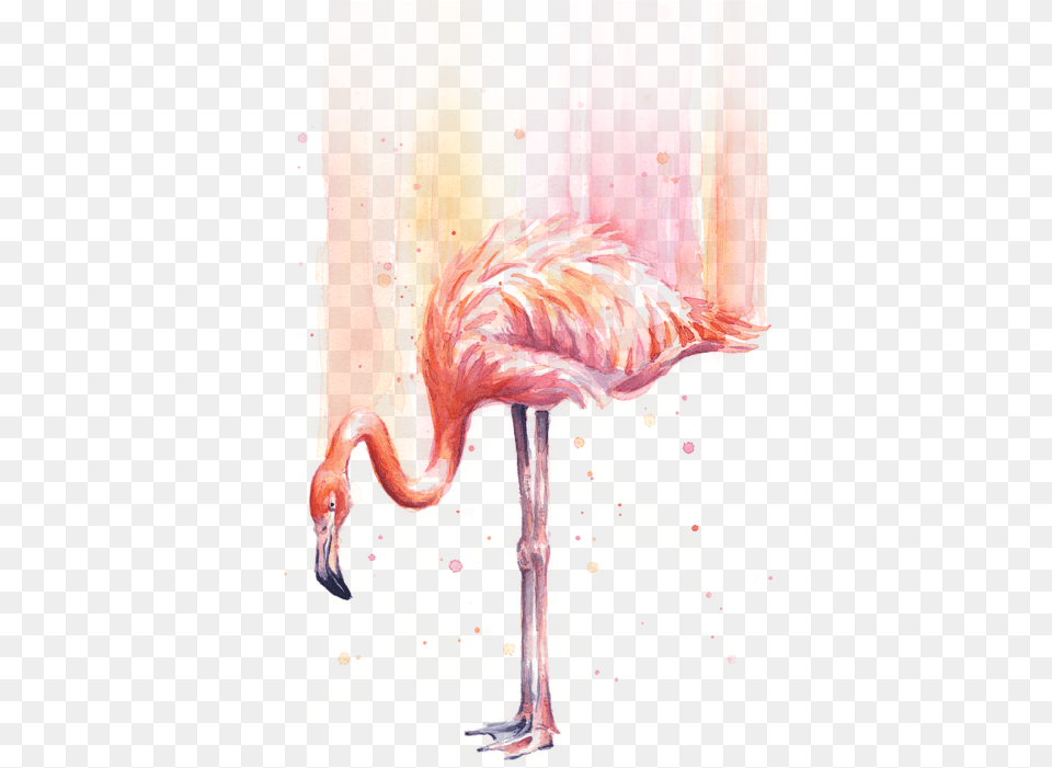 Flamingo Watercolor Painting, Animal, Bird Png Image