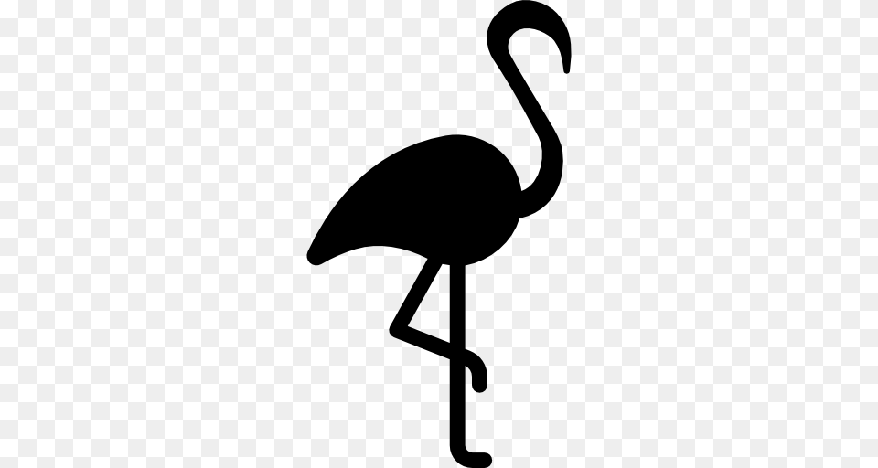 Flamingo With Leg Up, Animal, Bird, Kangaroo, Mammal Free Png