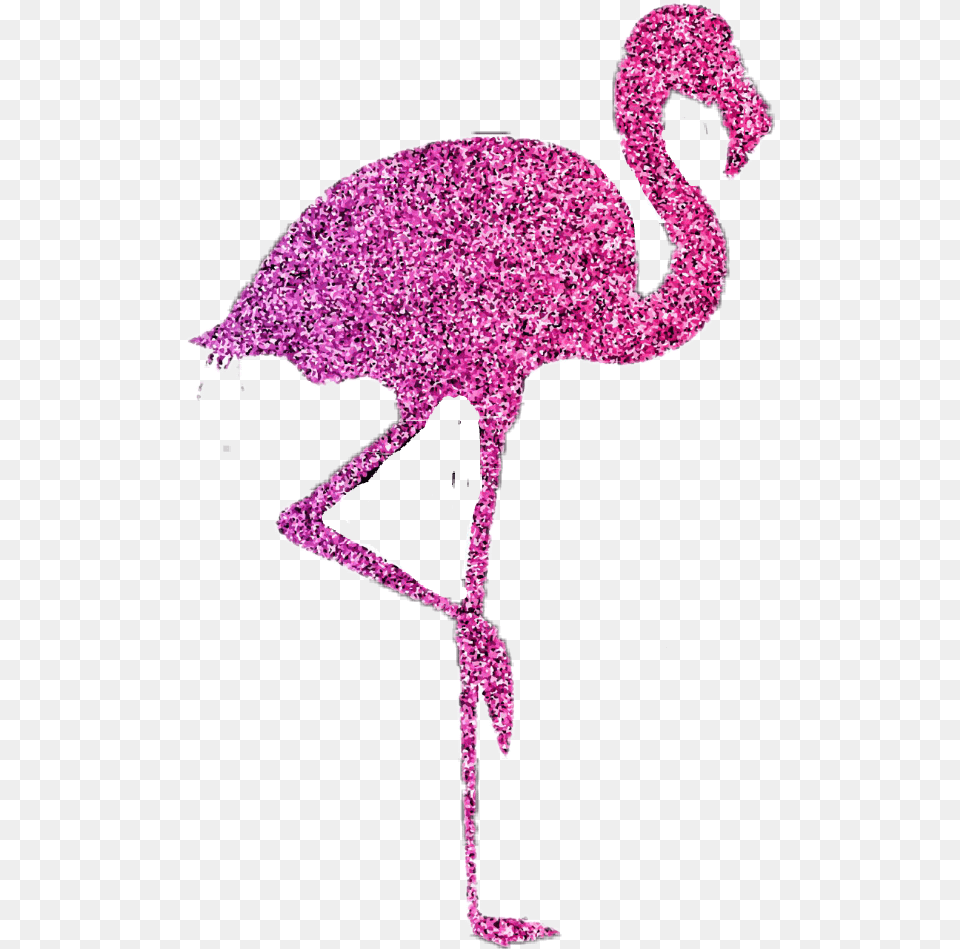 Flamingoglitter Pinkampblack Pink Black Flamingo De Gliter Em, Animal, Bird Png Image