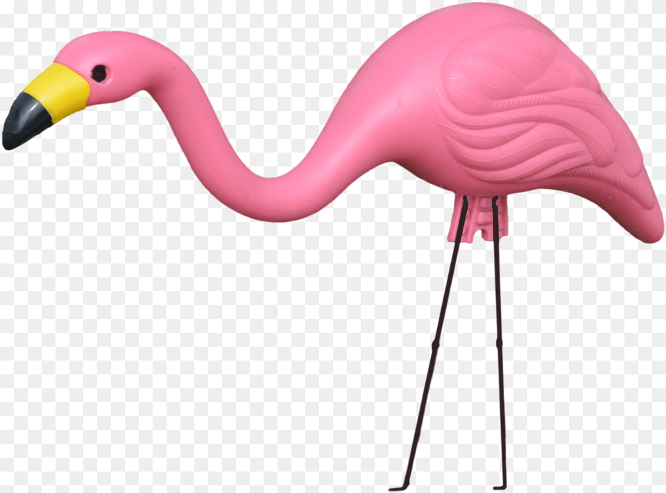 Flamingogreater Flamingobirdpinkwater Birdbeakneckanimal Transparent Plastic Flamingo, Animal, Bird, Appliance, Blow Dryer Png
