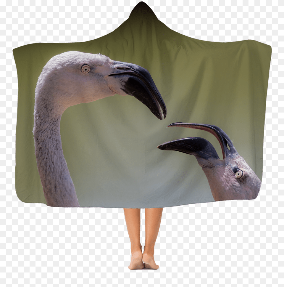 Flamingos Premium Adult Hooded Blanket Blanket, Animal, Beak, Bird, Person Free Png