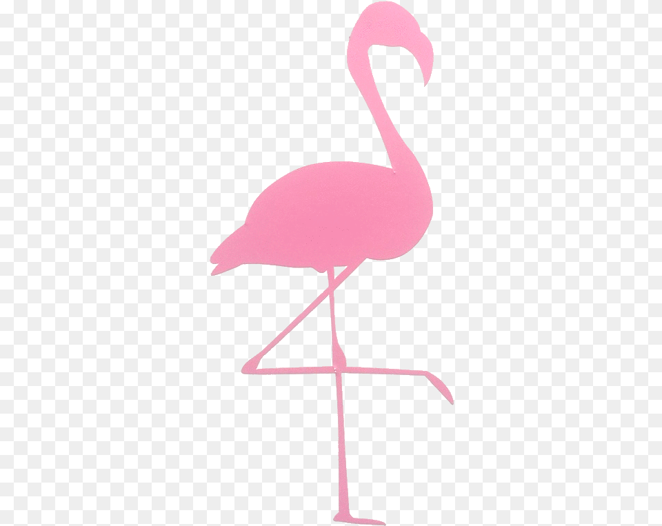 Flamingosticker Flamingo In A Flock Of Pigeons Wall Decal, Animal, Bird, Cross, Symbol Free Png Download
