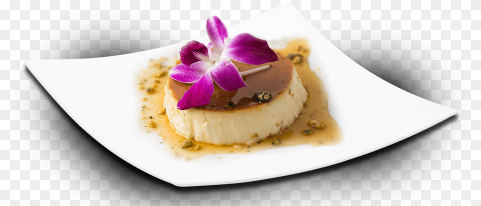 Flan, Food, Food Presentation, Plate, Meal Png