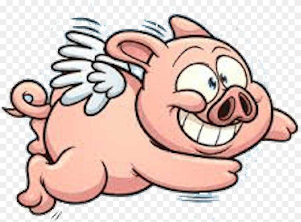 Flappy Pig Adventure Fly Pig Icon, Baby, Person, Face, Head Png