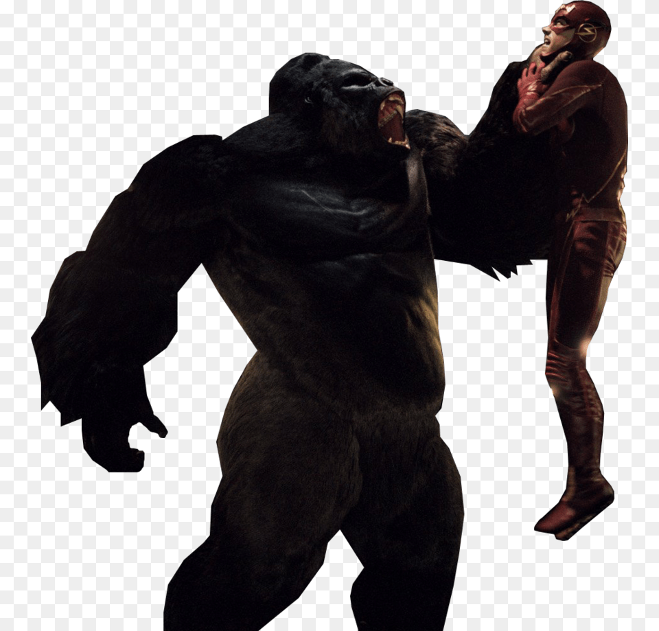 Flash Clipart Gorilla Grodd Flash, Adult, Person, Man, Male Png Image