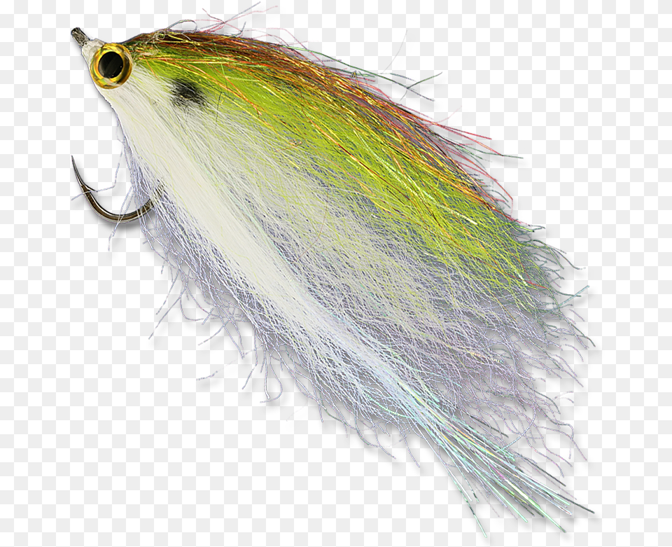 Flash N Slinky Flash 39n Slinky, Animal, Bird, Fishing Lure, Sea Life Png Image