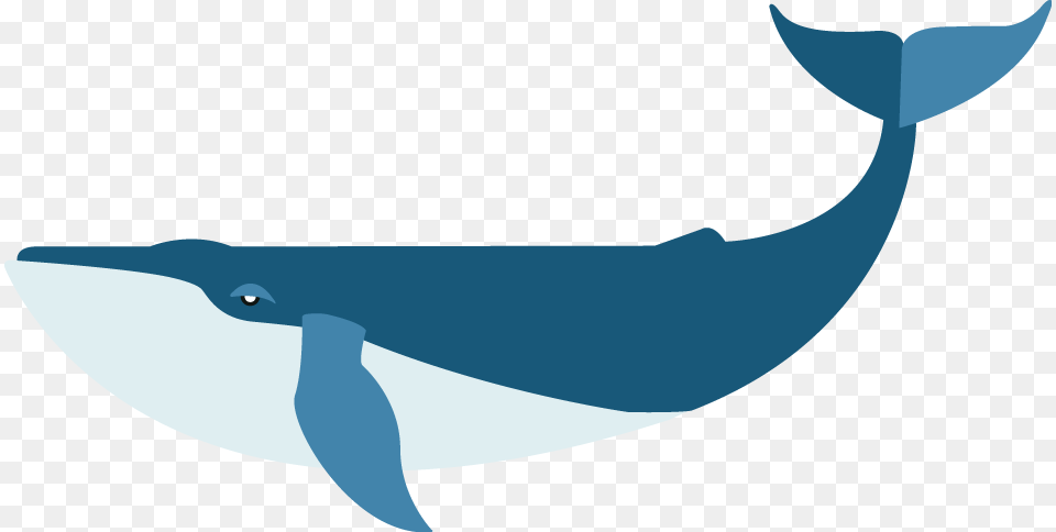Flat Blue Whale Blue Whale Art, Animal, Mammal, Sea Life, Fish Free Transparent Png