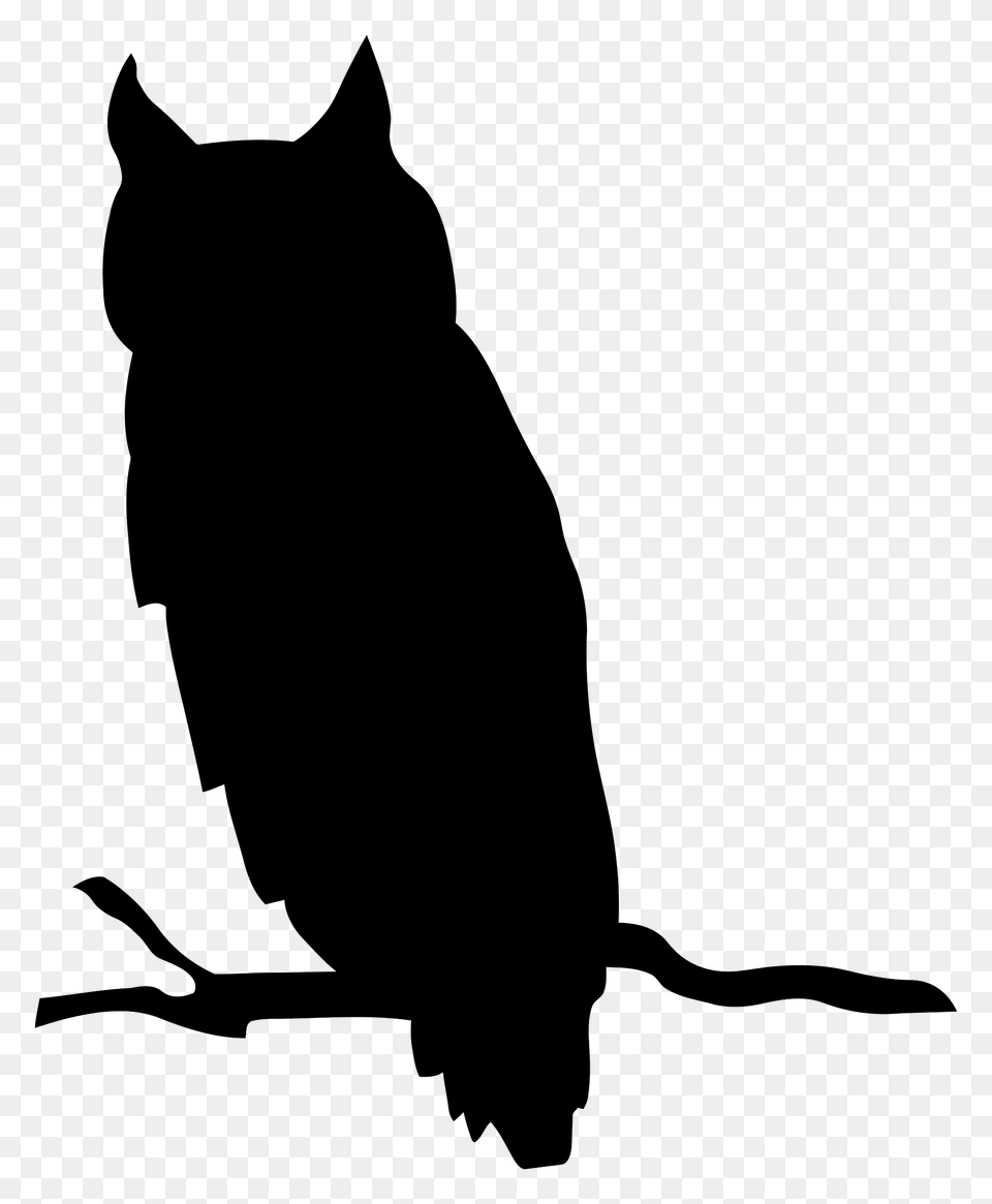 Flat F Clip Art Of Owl Bird, Gray Png