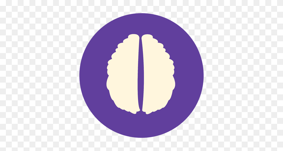 Flat Human Brain Sign, Leaf, Plant, Flower, Petal Free Png