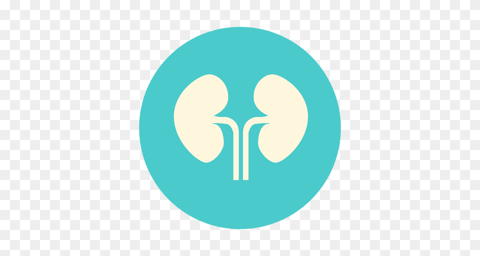 Flat Kidney Circle Icon, Cutlery, Spoon, Disk Free Png