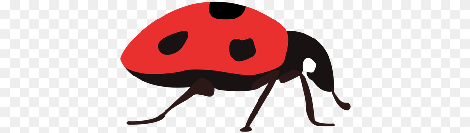 Flat Ladybug Insect Ladybug, Animal Png