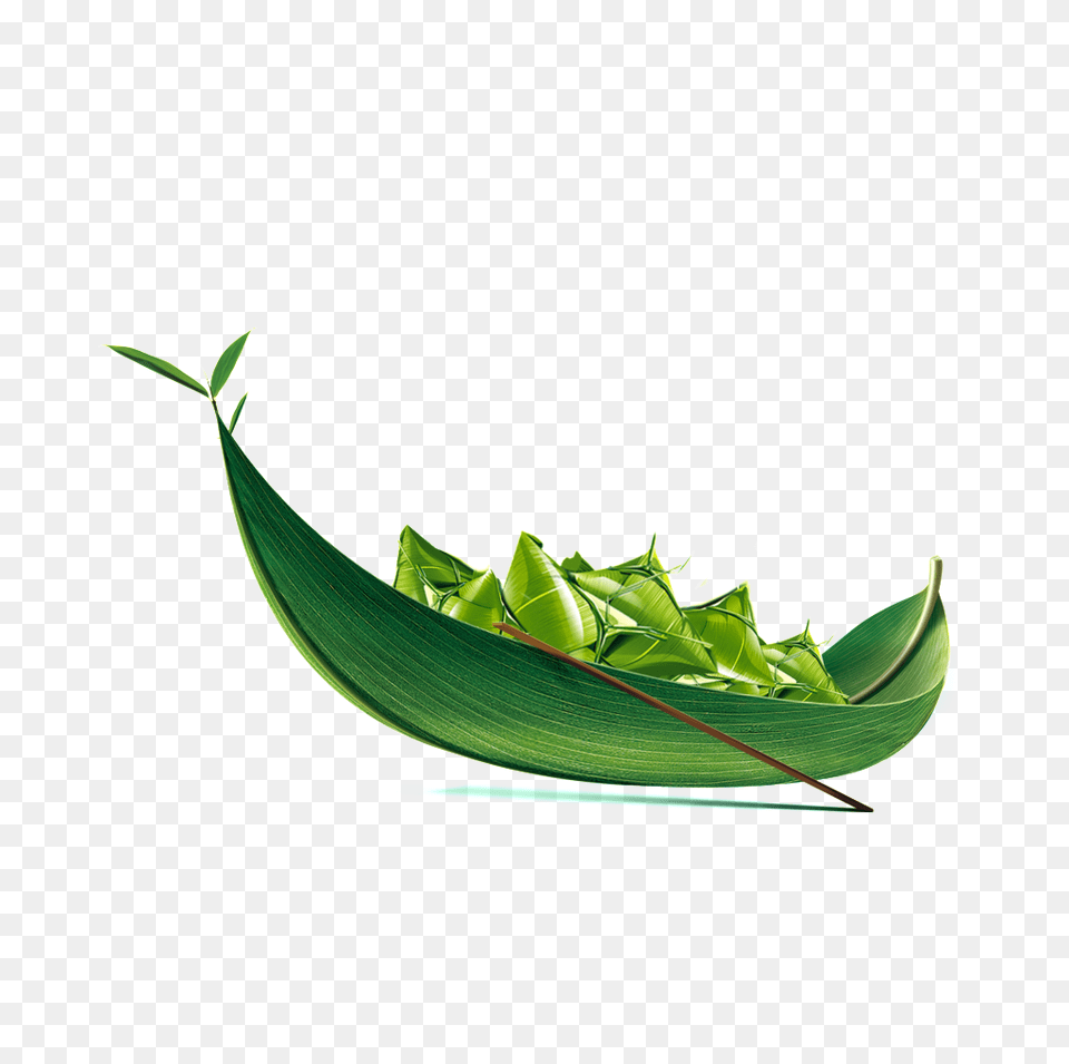 Flat Leaf Boat Decoration Vector Download Vector, Plant, Green, Animal, Reptile Free Transparent Png
